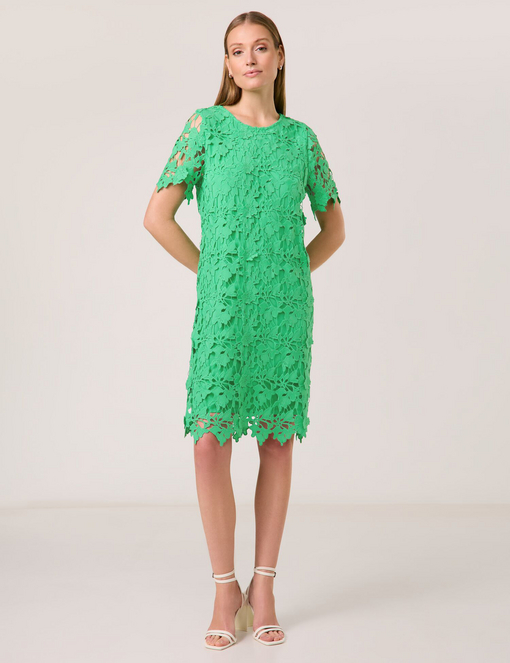 Spitzenkleid