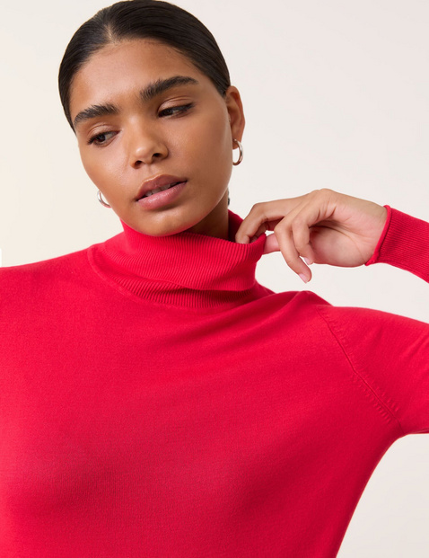 Basic jumper with a turtleneck